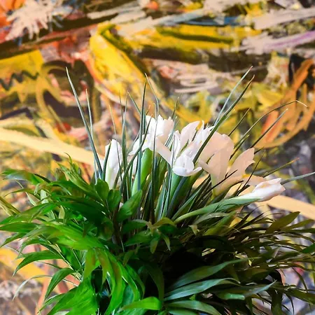 Music House Maison d'hôtes 2*